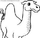 dibujo camellos