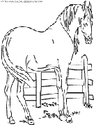 dibujo caballo