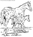 dibujo caballo