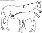 dibujo caballo