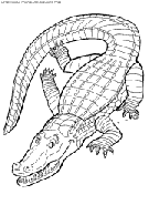dibujo crocodilos