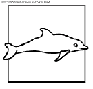 dibujo delfines