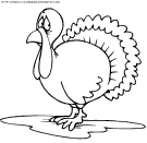 dibujo thanksgiving