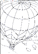 dibujo el osito polar