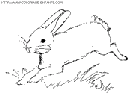 dibujo conejos