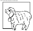 dibujo ovejas