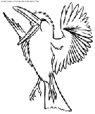 dibujo pajaros