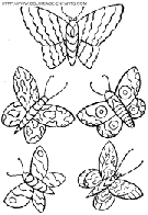 dibujo mariposas