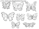 dibujo mariposas