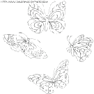 dibujo mariposas