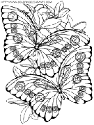 dibujo mariposas