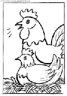 dibujo gallinas