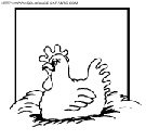 dibujo gallinas