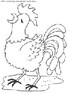 dibujo gallinas