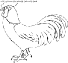 dibujo gallinas