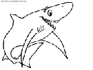 dibujo tiburon