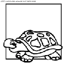 dibujo tortugas