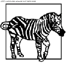 dibujo zebras