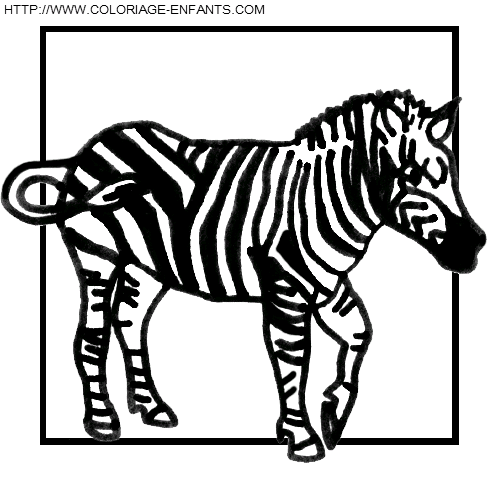 dibujo Zebras