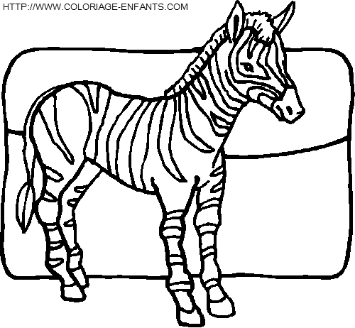 dibujo Zebras