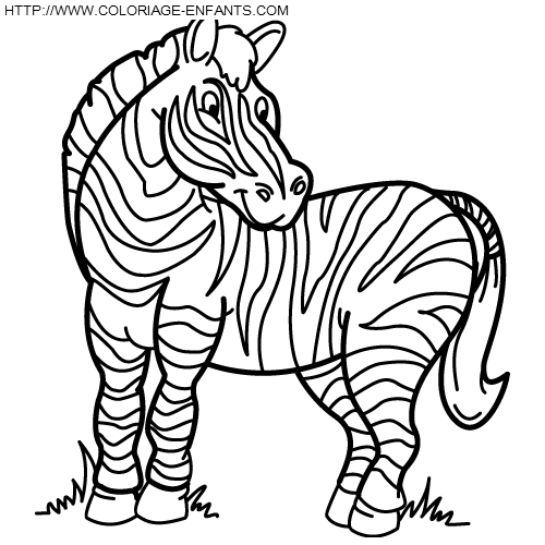 dibujo Zebras